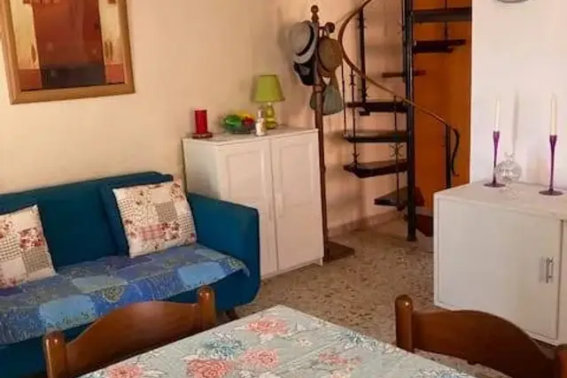 insertion image