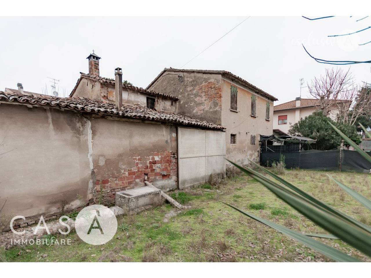 immagine annuncio 1 di 6