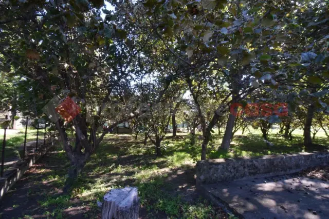 Agricultural land, Mercato San Severino - Photo 1