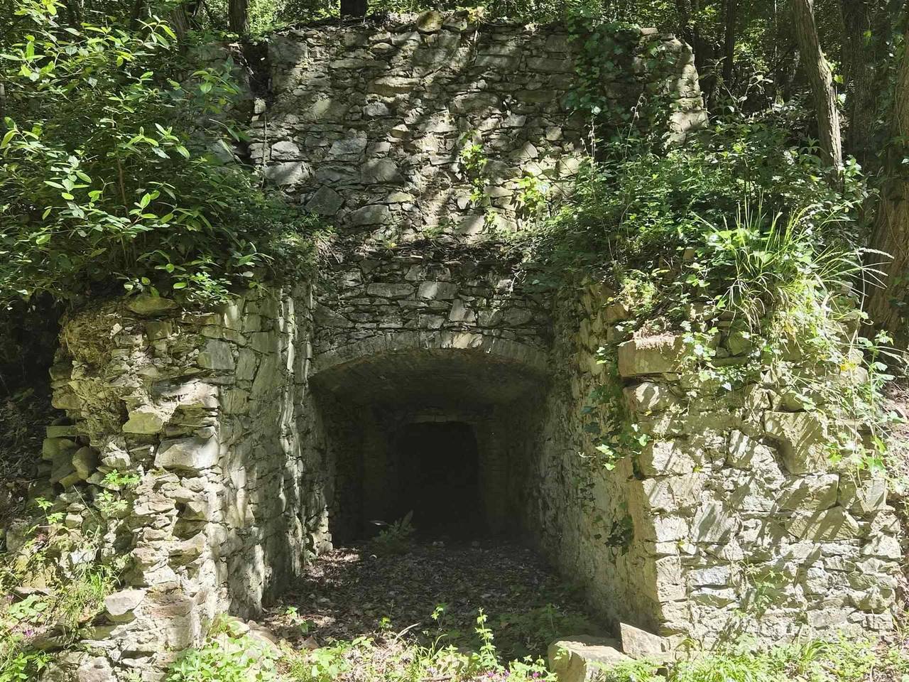 immagine annuncio 9 di 14