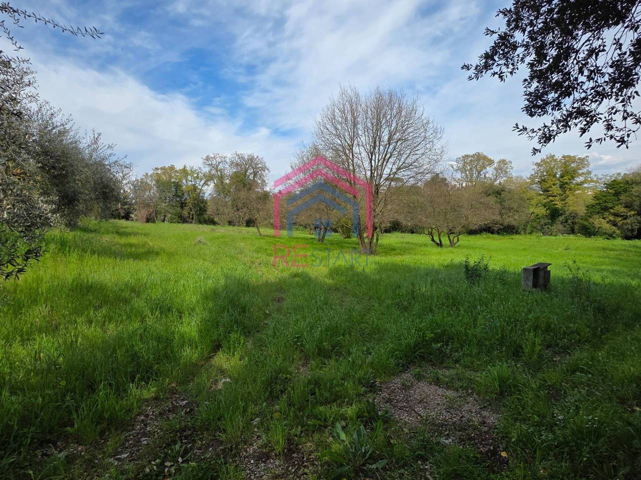 immagine annuncio 6 di 8