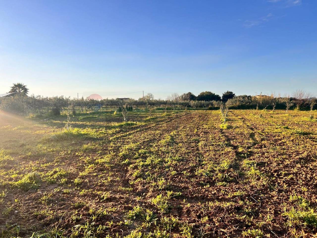 immagine annuncio 7 di 8