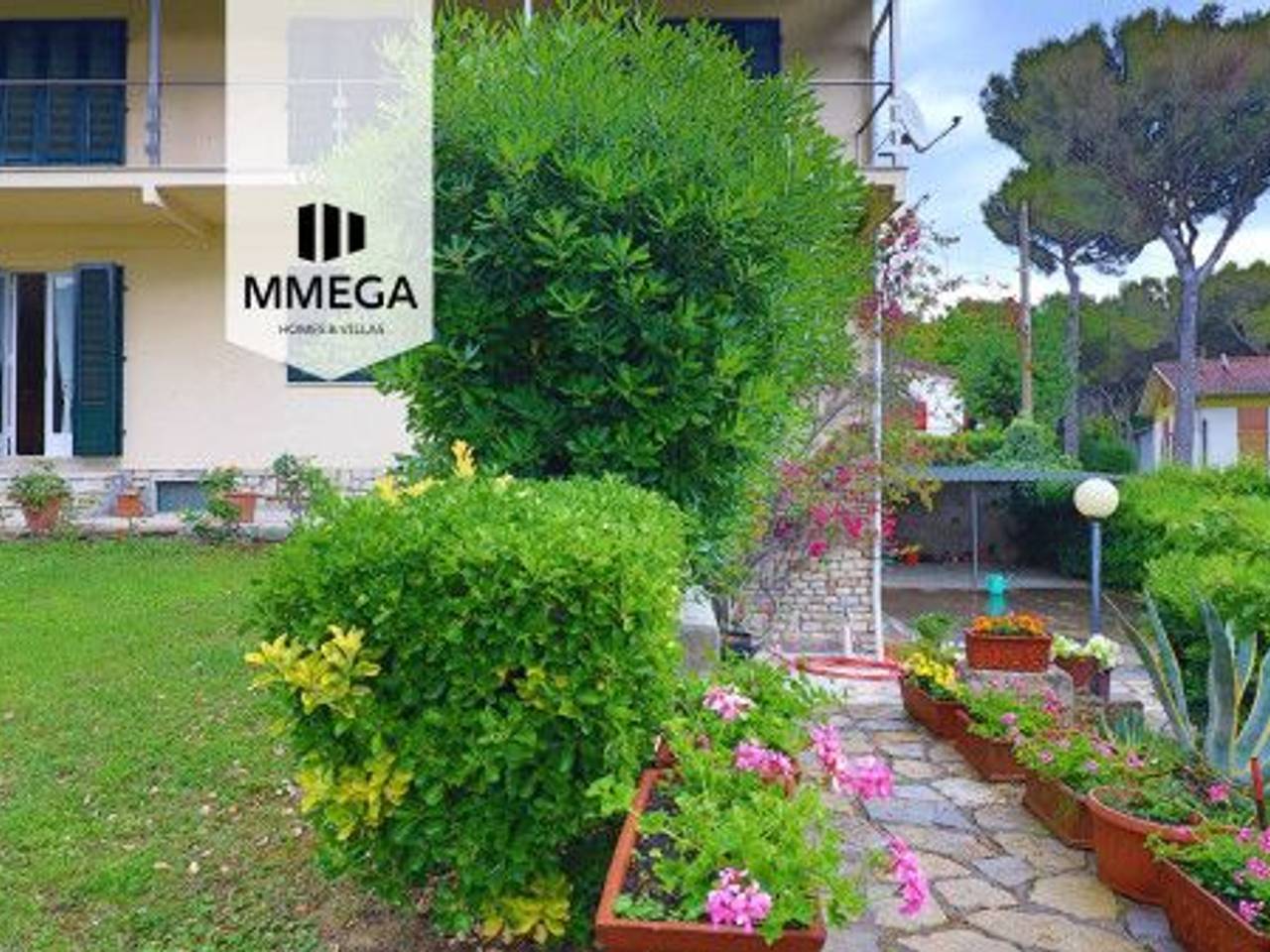 immagine annuncio 3 di 15