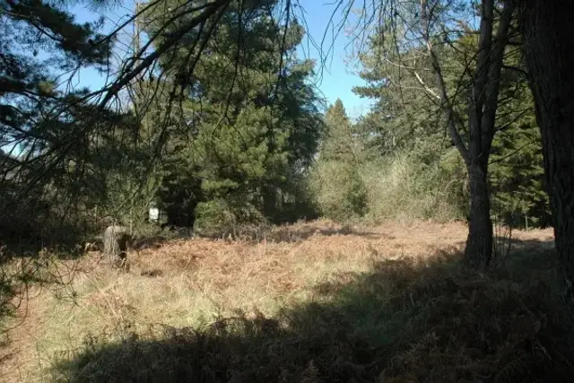insertion image