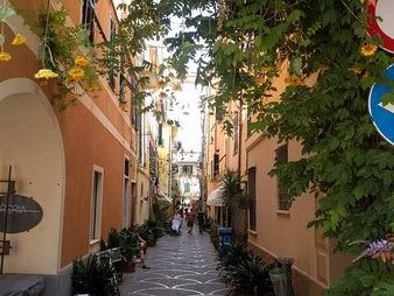immagine annuncio 11 di 14