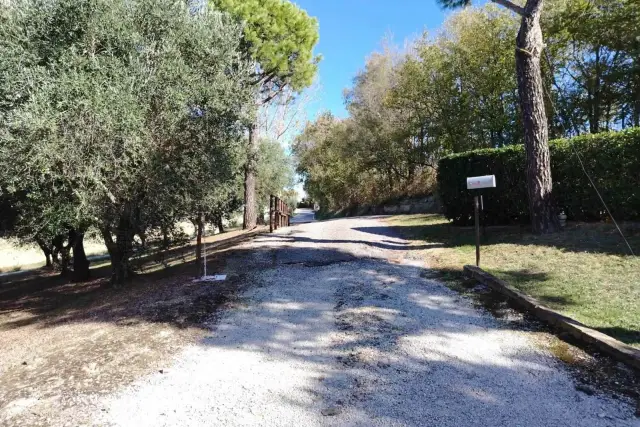 insertion image