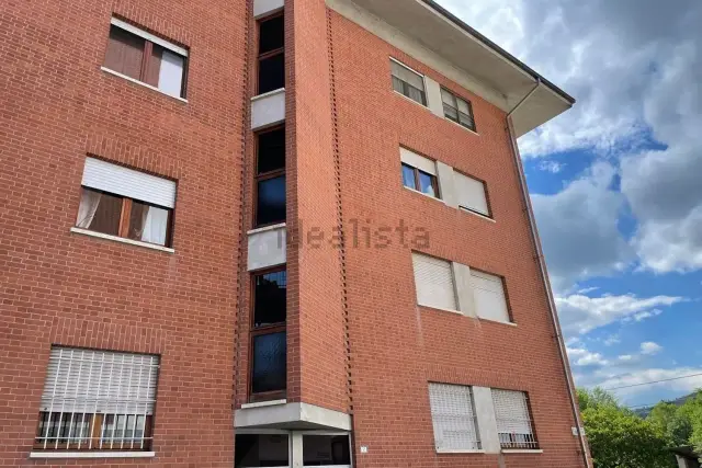 insertion image