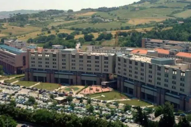 insertion image