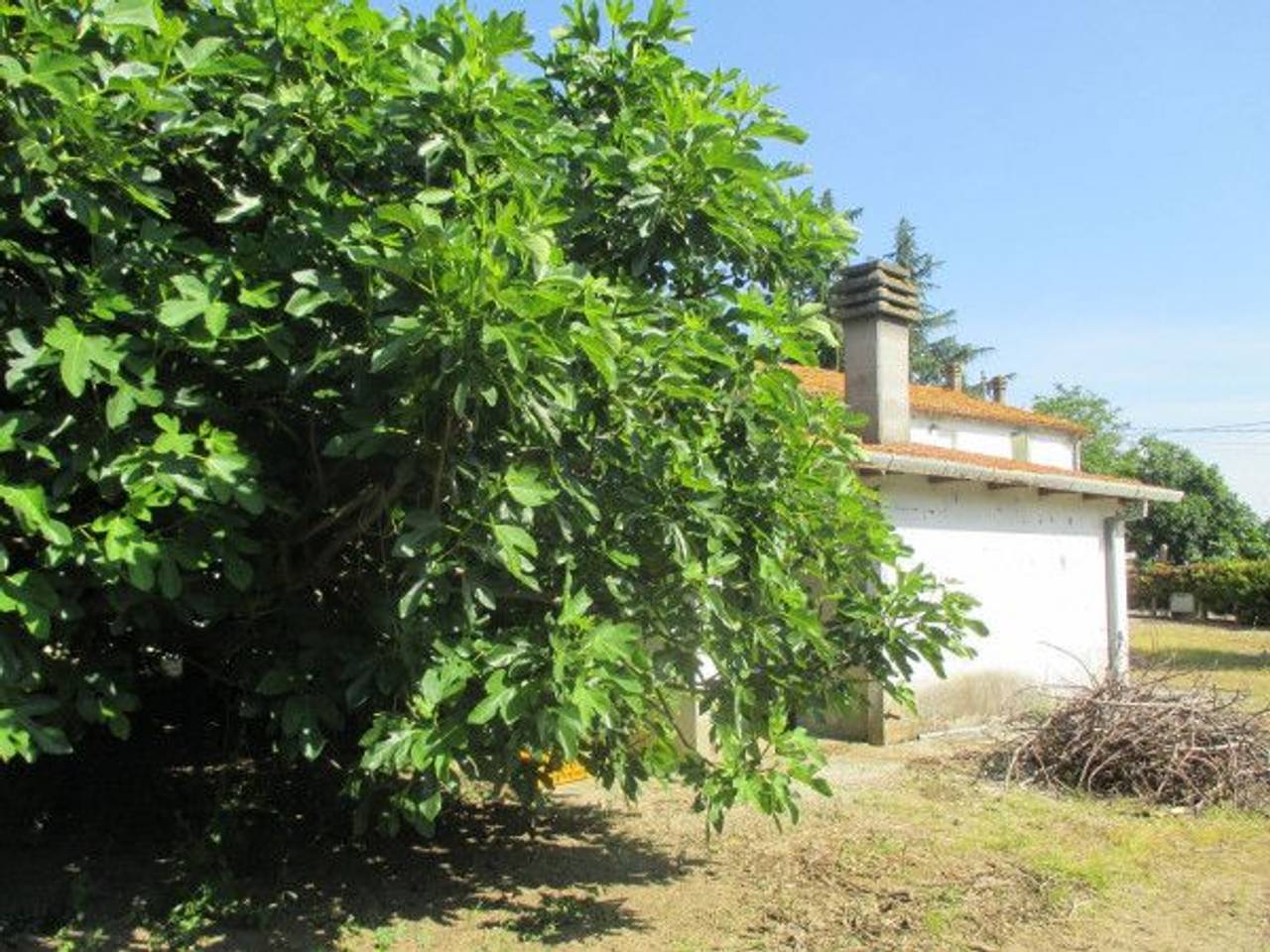 immagine annuncio 8 di 11