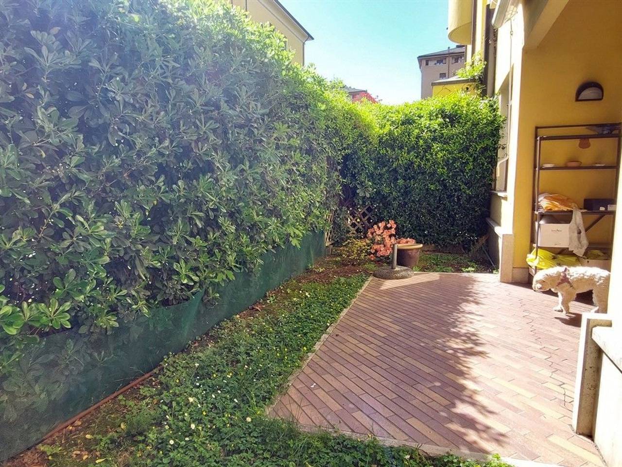 immagine annuncio 5 di 15