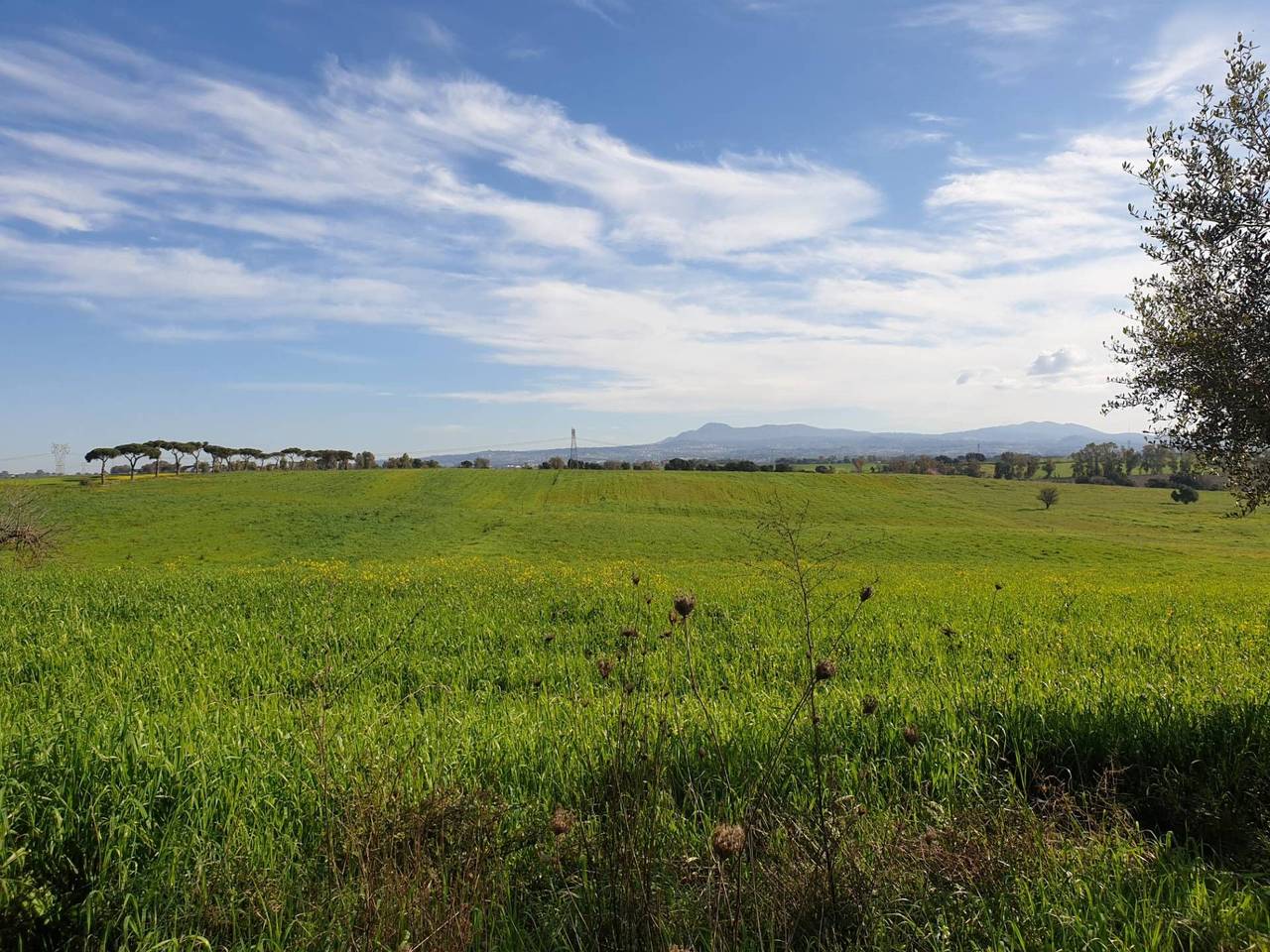 immagine annuncio 5 di 13