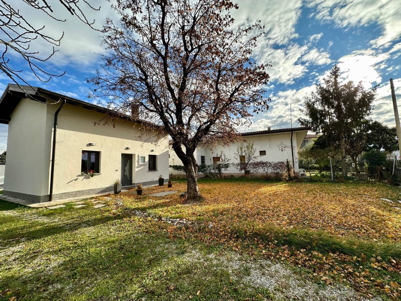 immagine annuncio 2 di 14