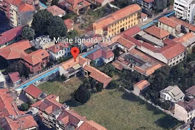 insertion image