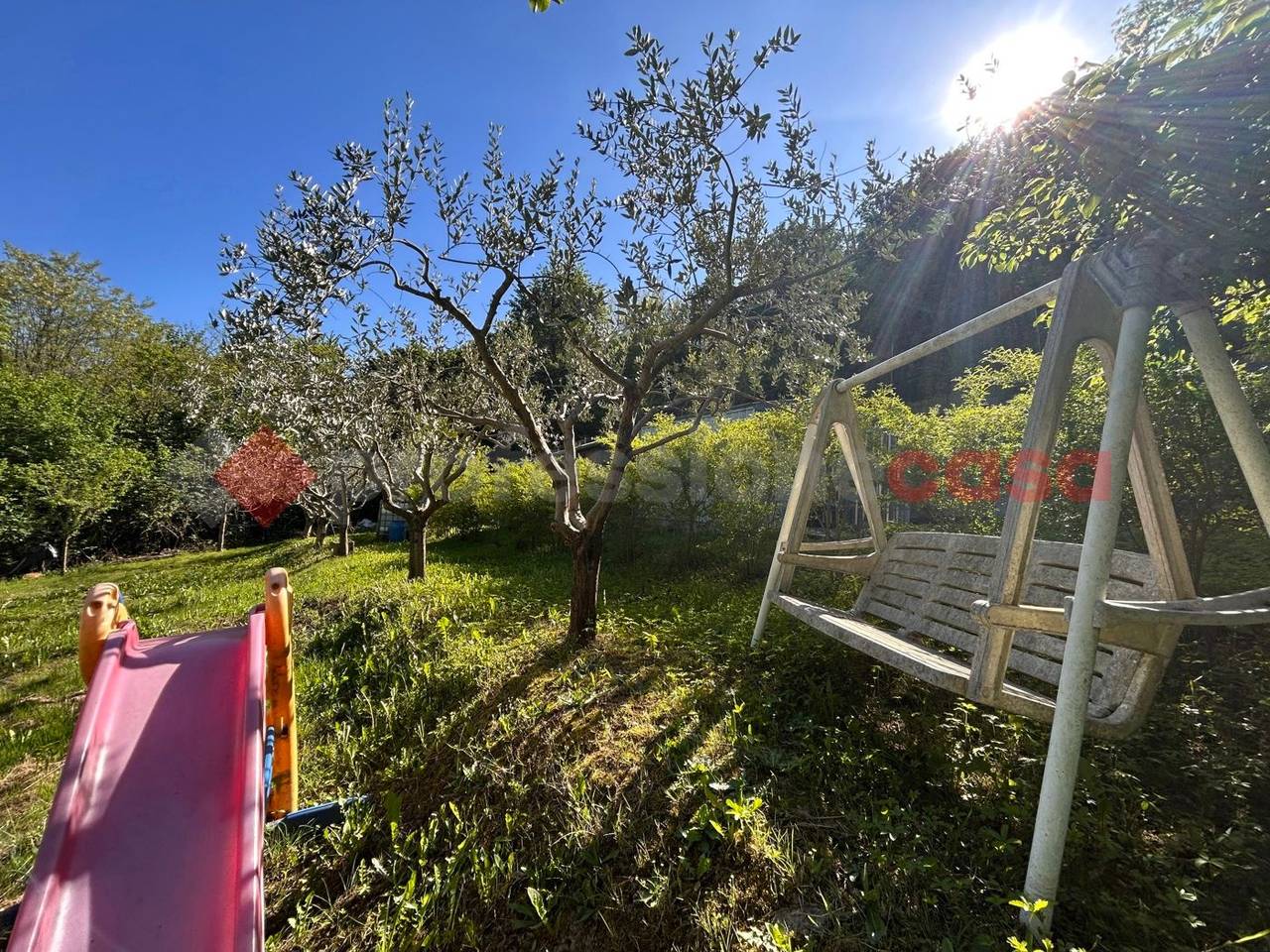 immagine annuncio 2 di 12