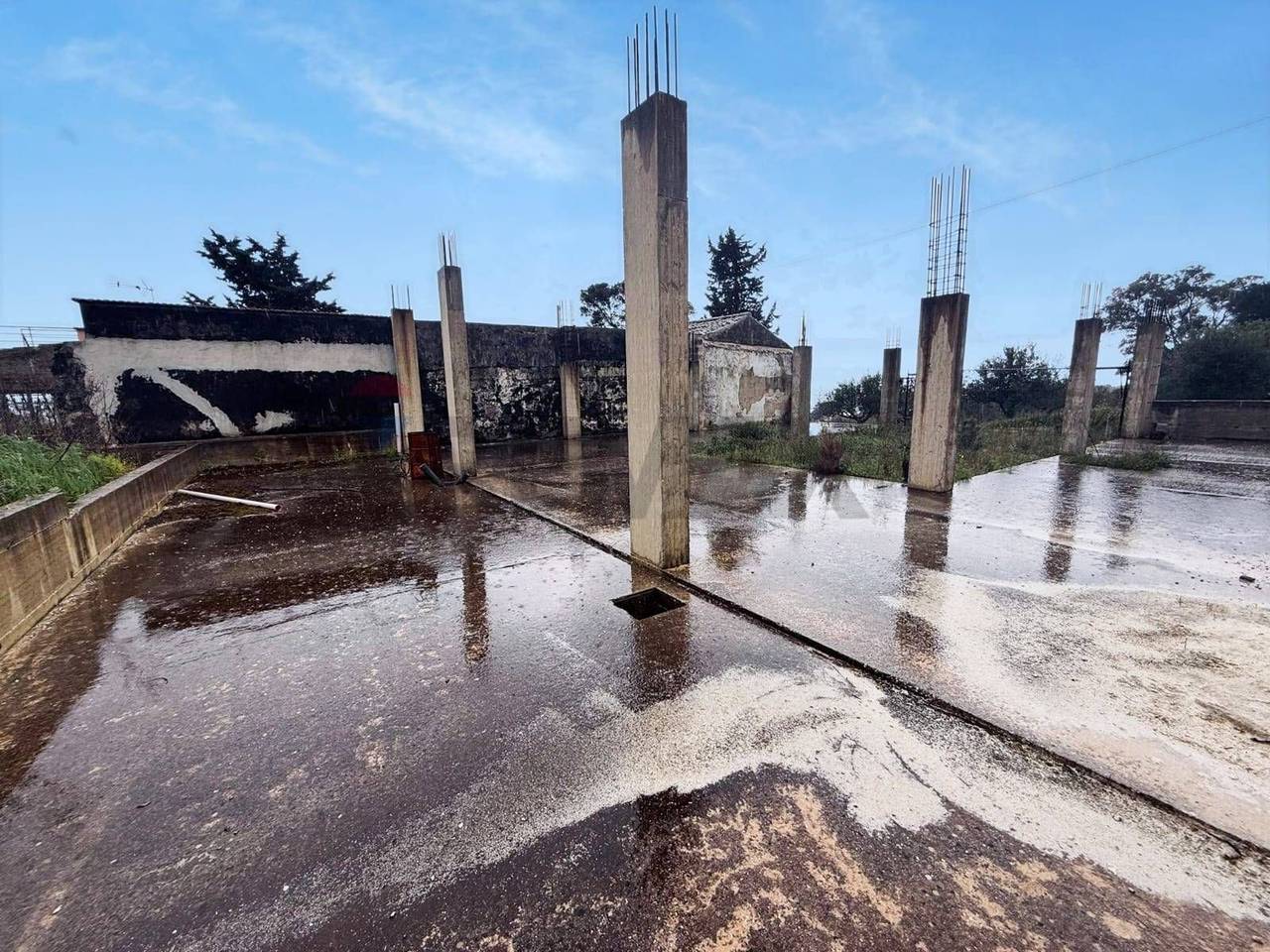 immagine annuncio 11 di 13