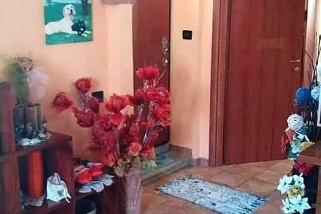 insertion image