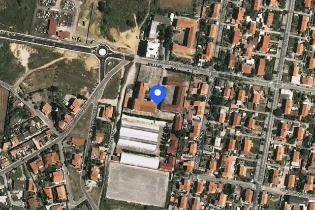 insertion image