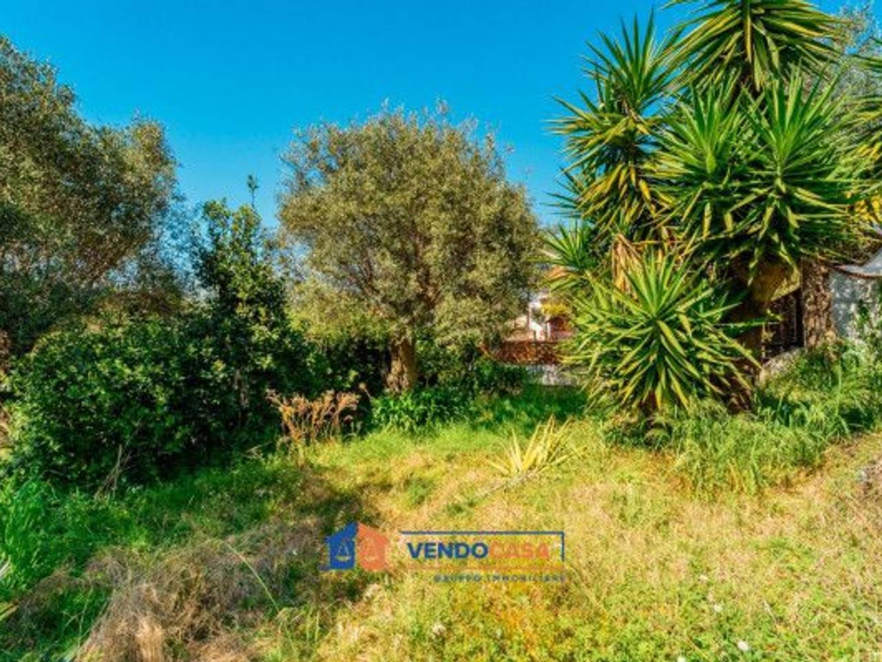 immagine annuncio 2 di 11