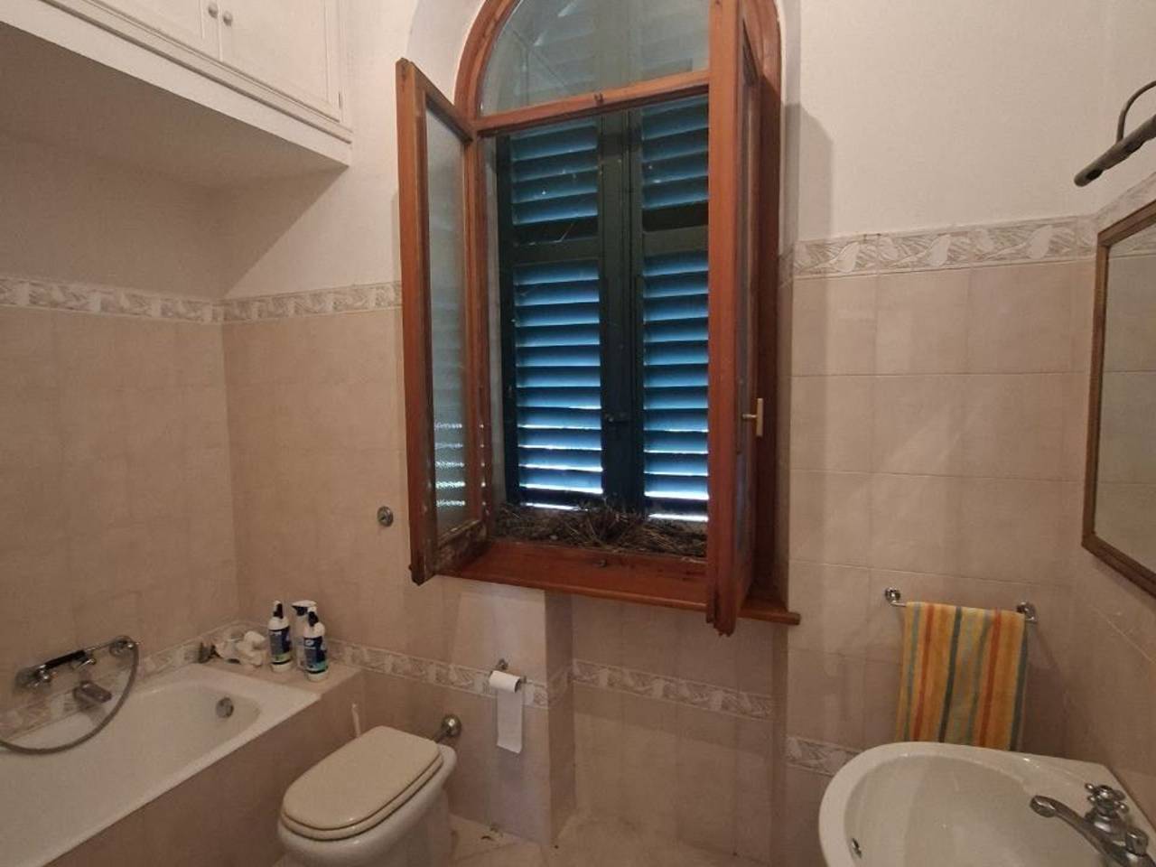 immagine annuncio 5 di 6