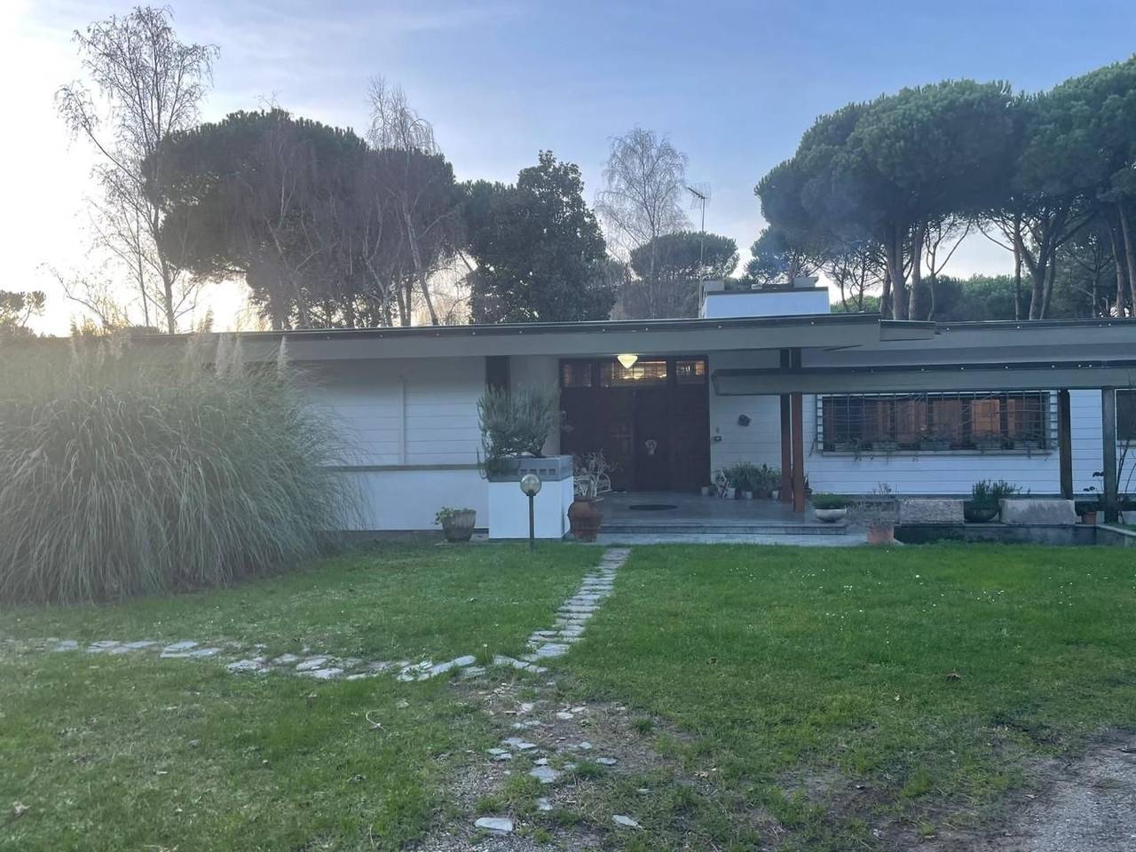 immagine annuncio 10 di 14