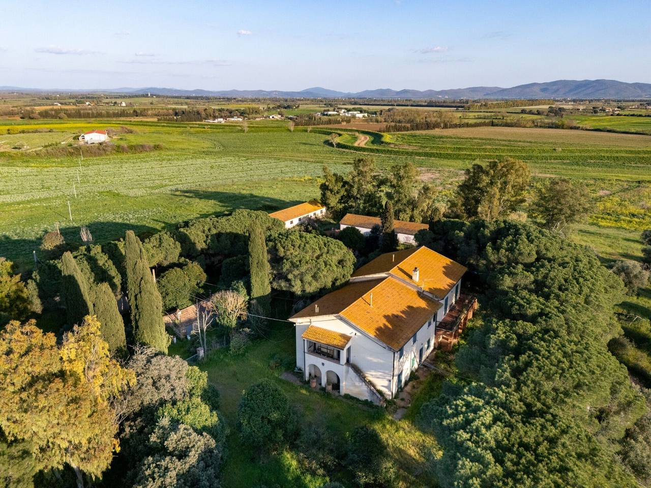 immagine annuncio 9 di 13