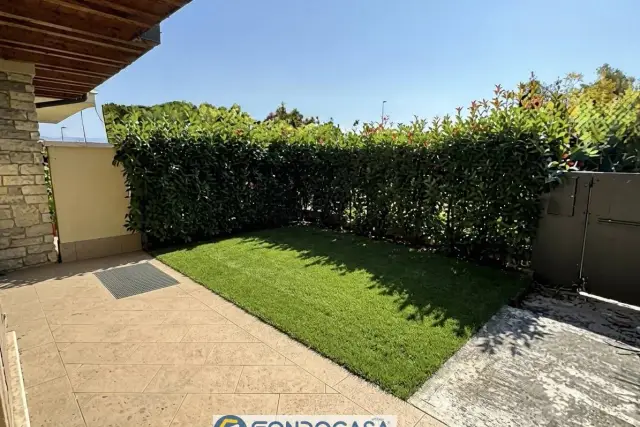 insertion image