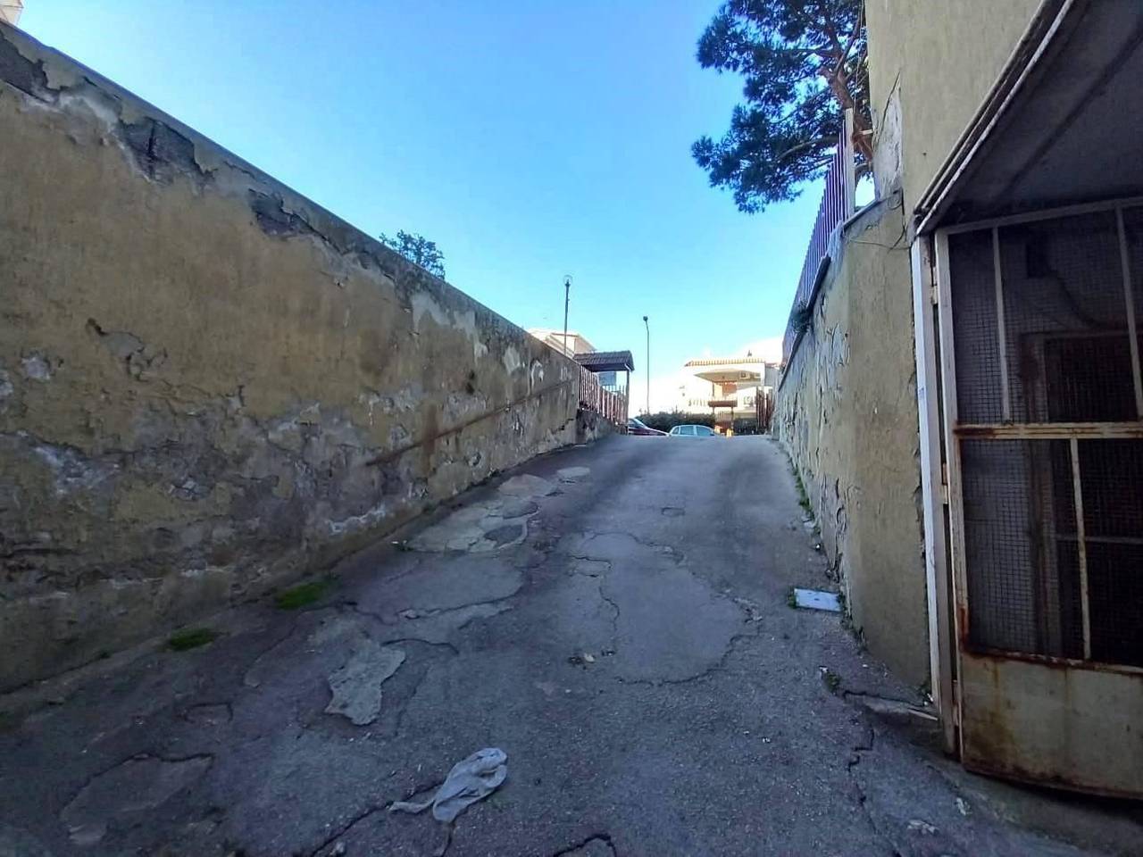 immagine annuncio 2 di 13