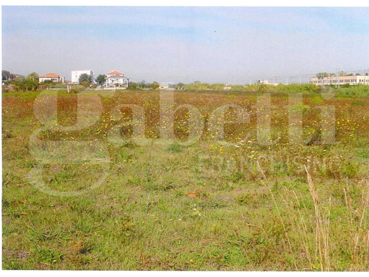 immagine annuncio 2 di 7