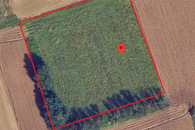 insertion image