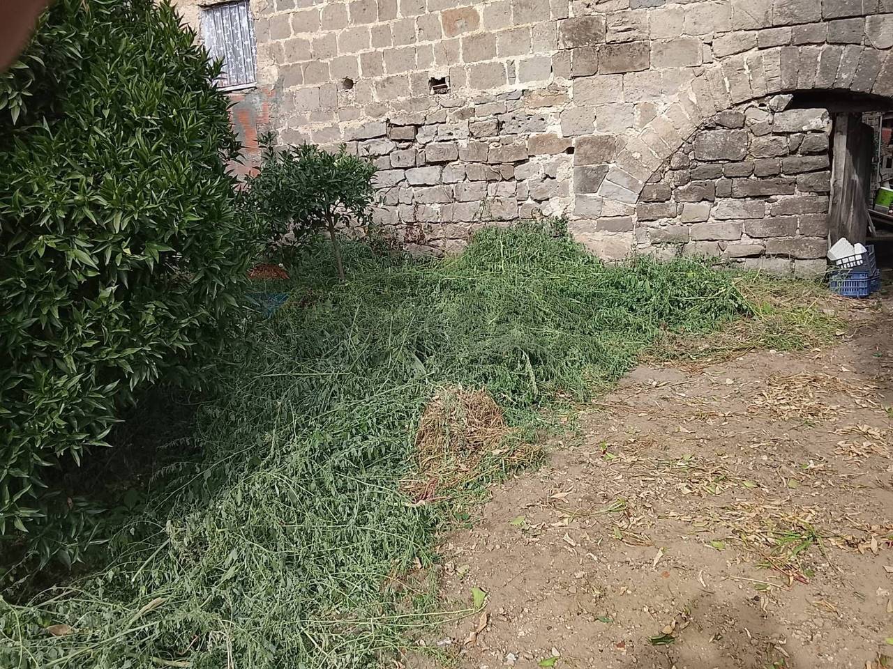 immagine annuncio 6 di 9