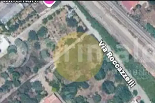 insertion image