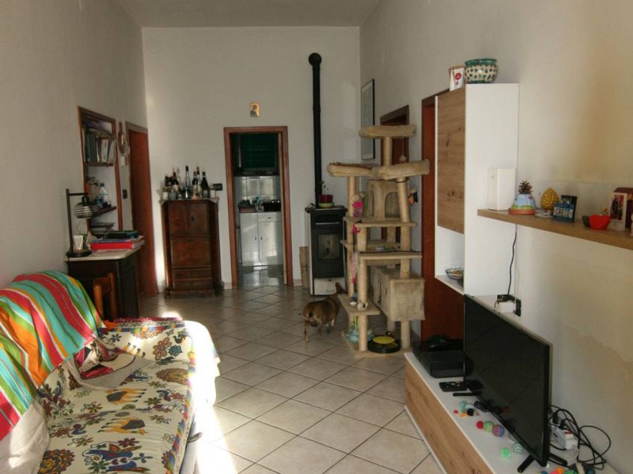 immagine annuncio 1 di 13