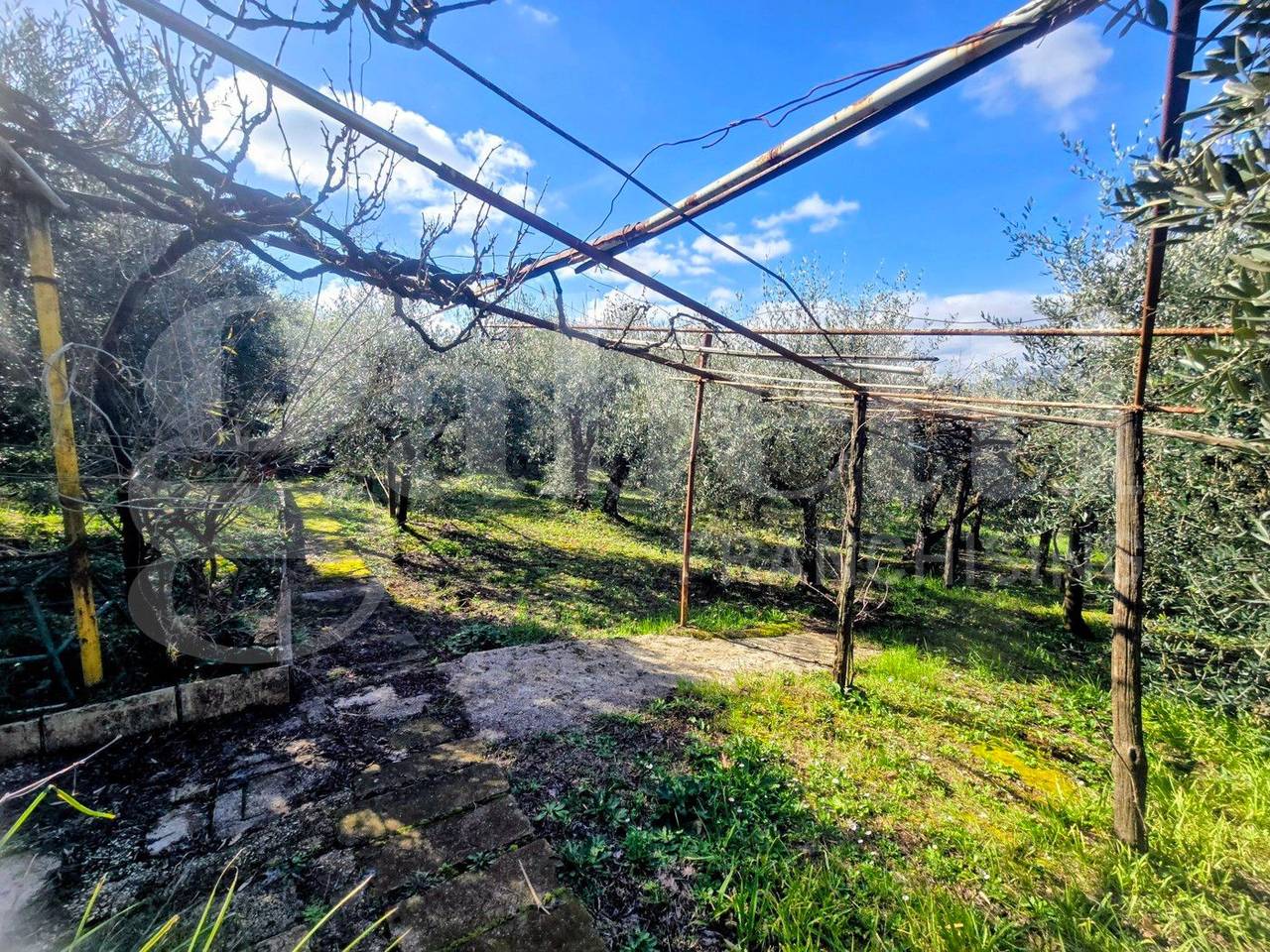 immagine annuncio 13 di 15