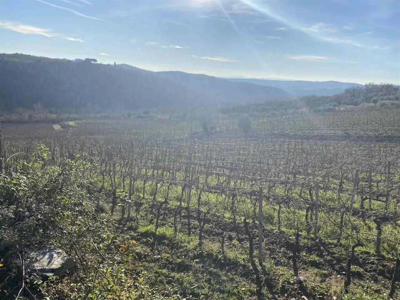 Azienda agricola in , Gaiole In Chianti, {3} - Foto 2