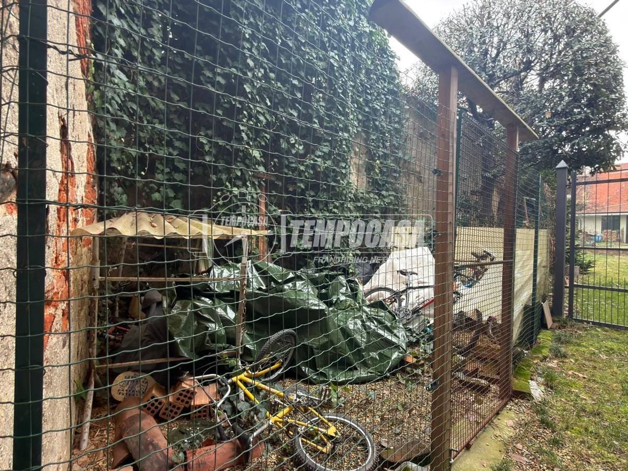 immagine annuncio 9 di 11