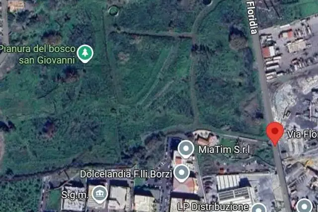 insertion image