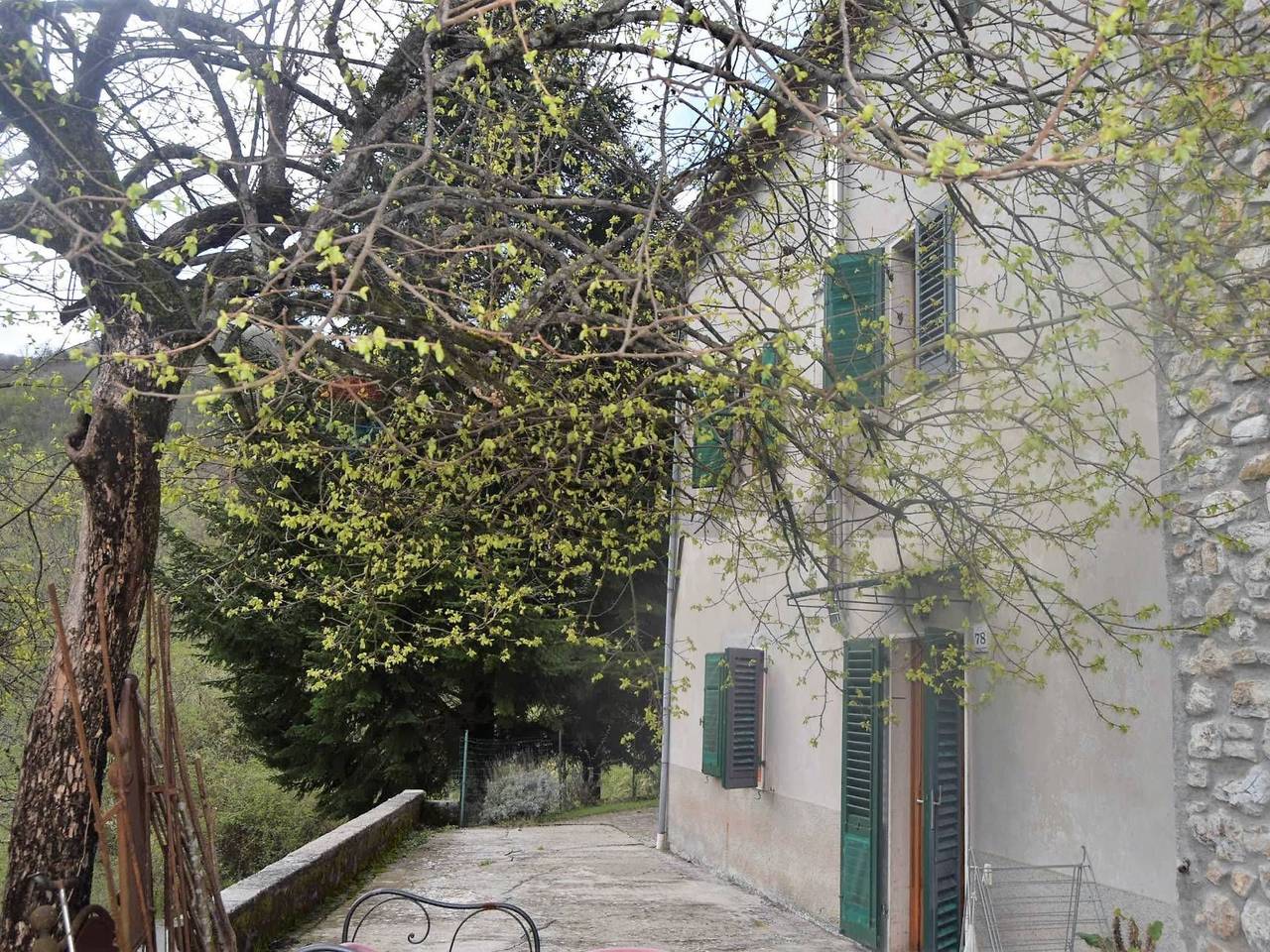 immagine annuncio 12 di 13