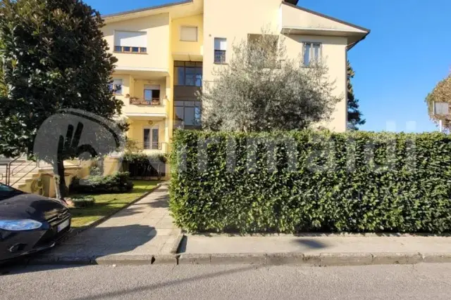 insertion image