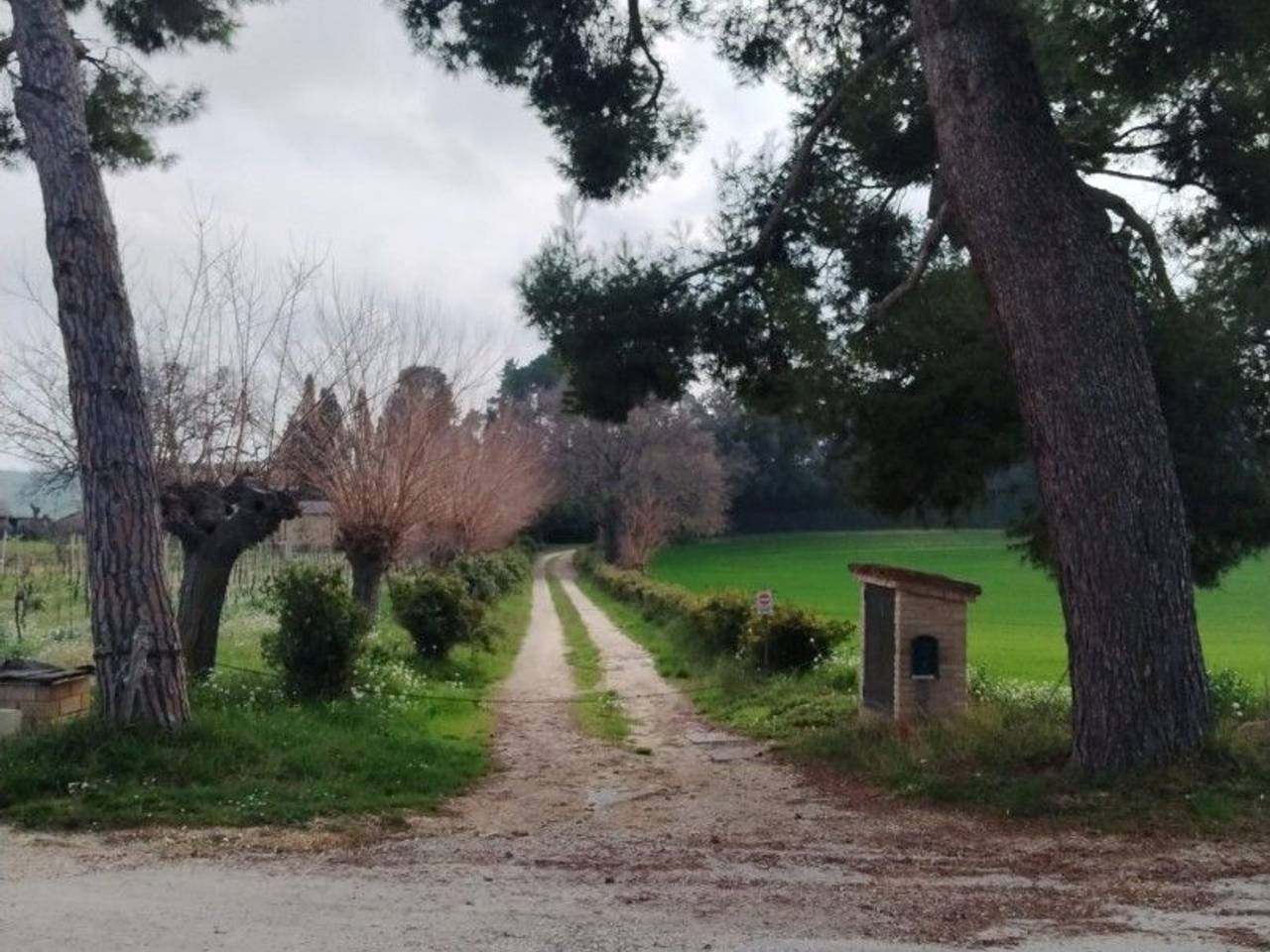 immagine annuncio 9 di 15