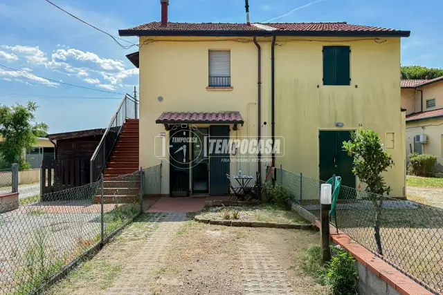 insertion image