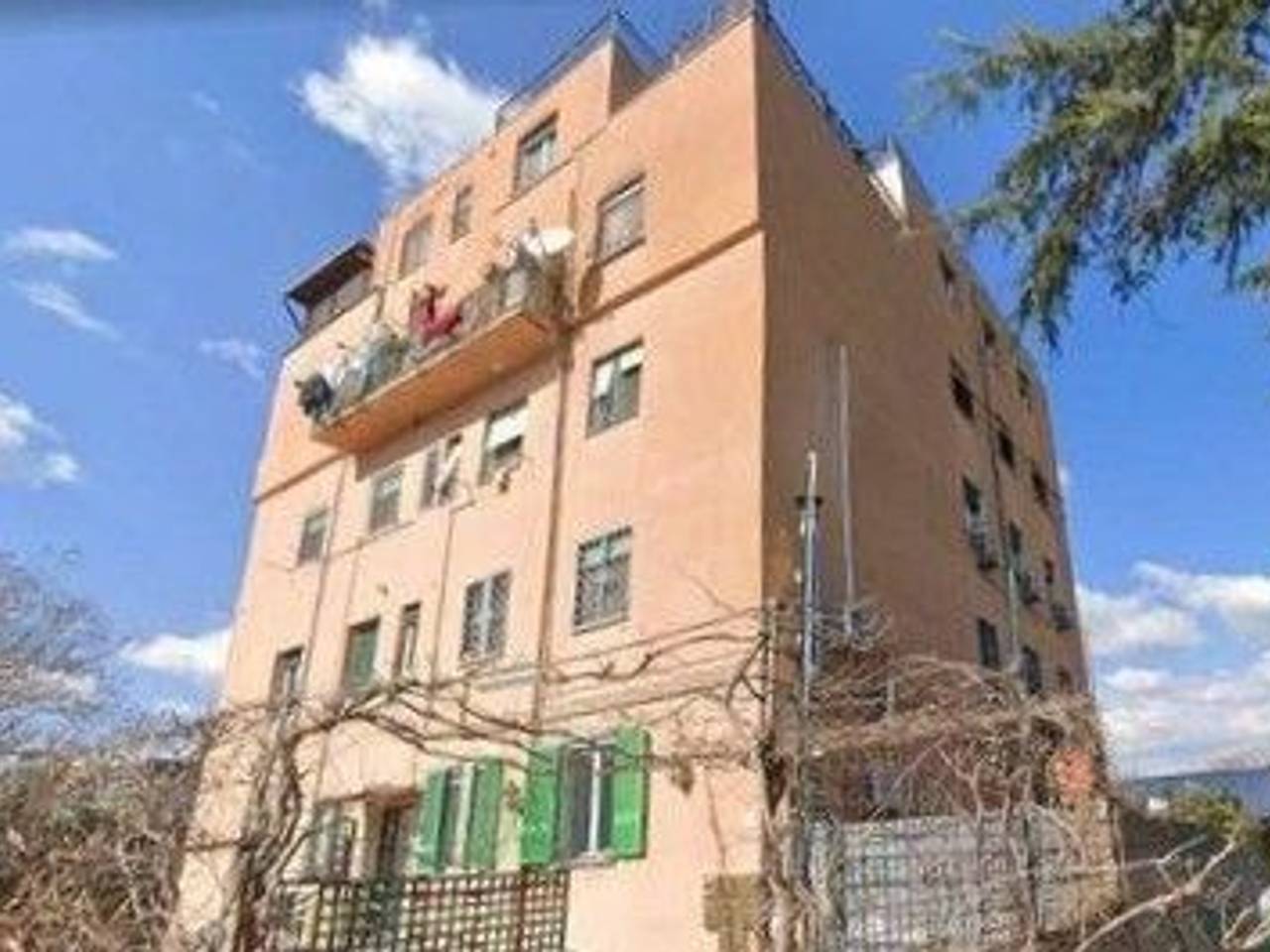 immagine annuncio 1 di 14