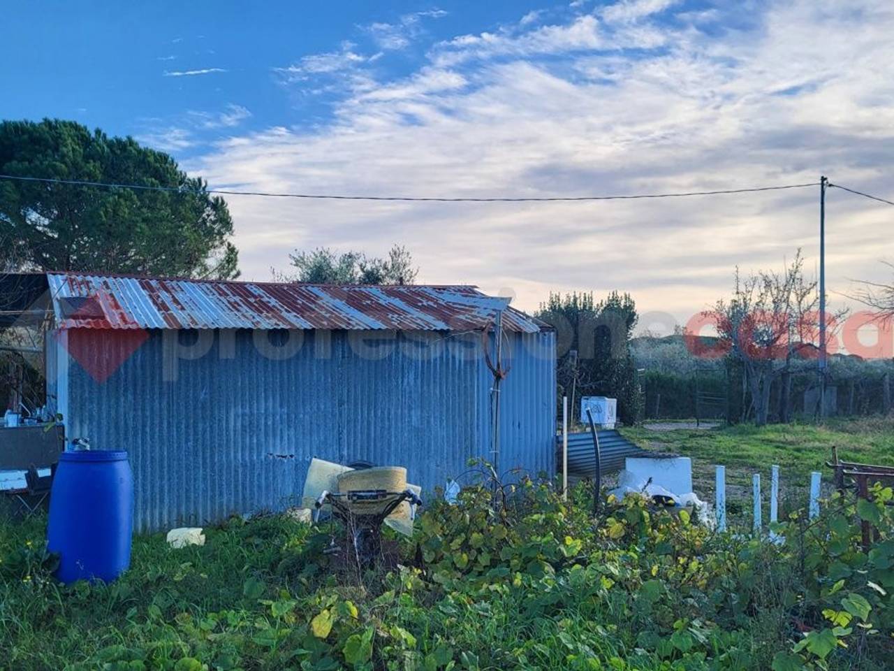 immagine annuncio 1 di 11