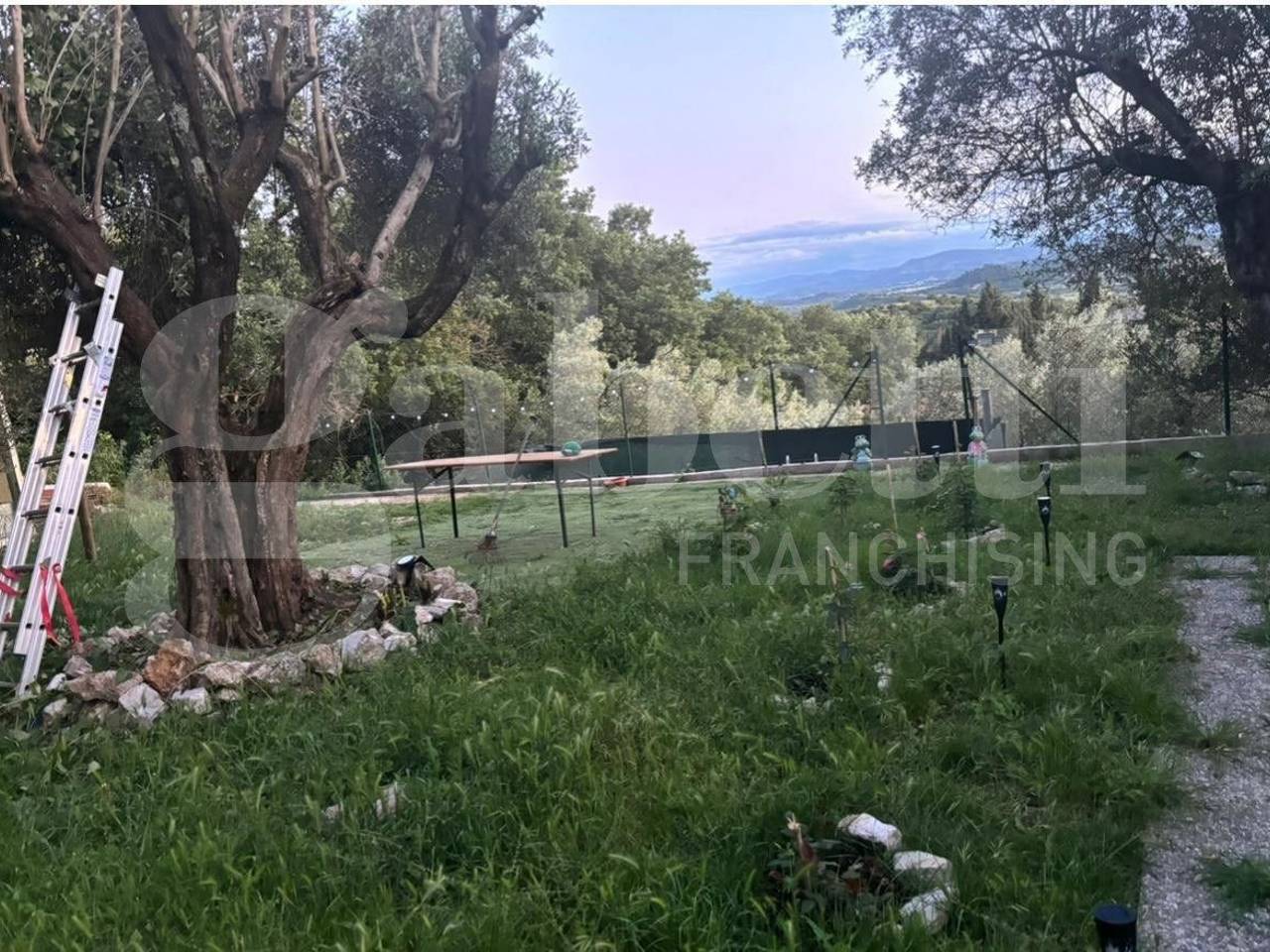 immagine annuncio 2 di 13