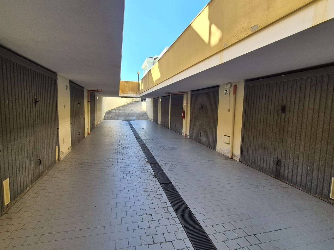 immagine annuncio 5 di 6