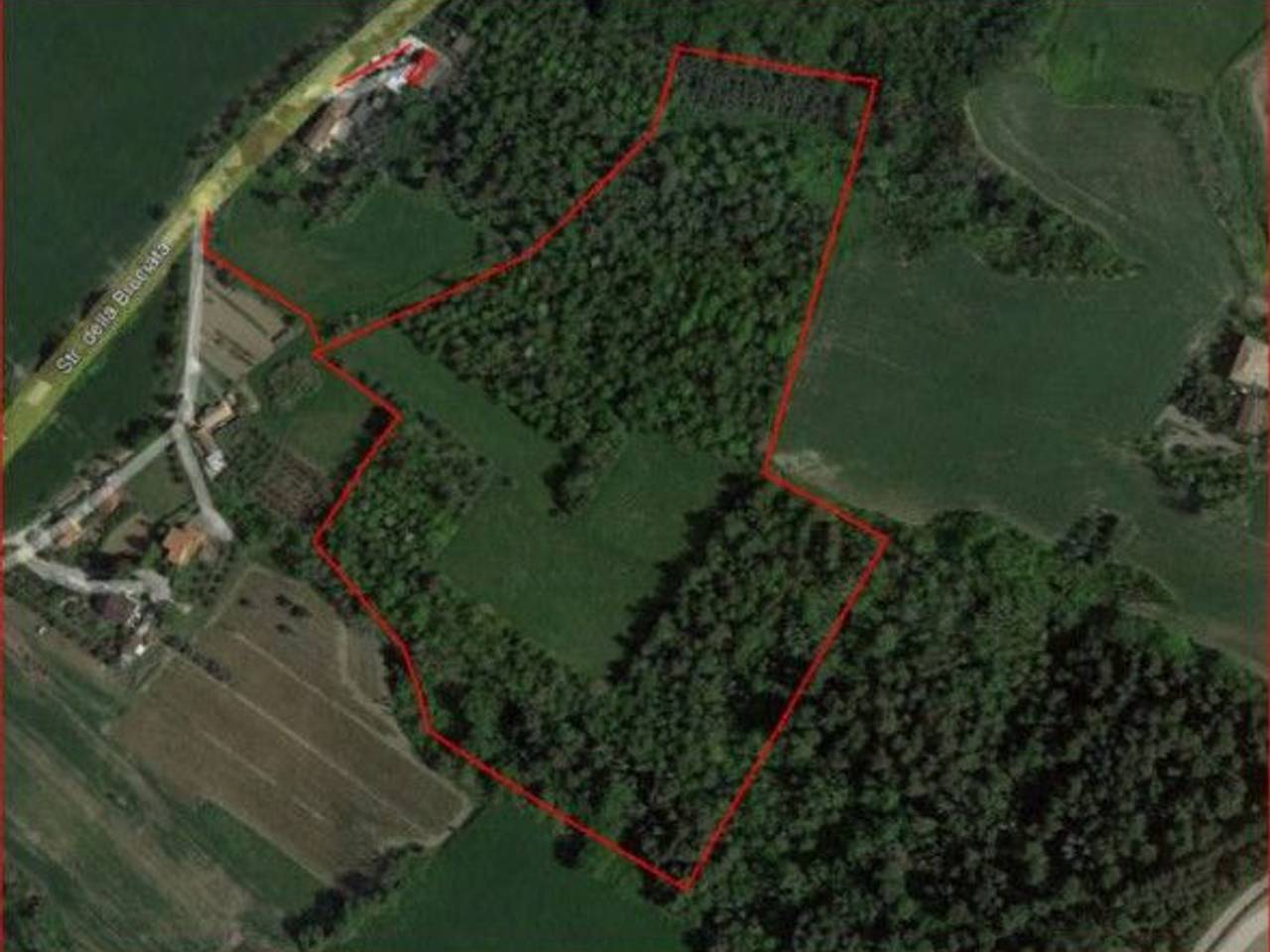 immagine annuncio 6 di 8