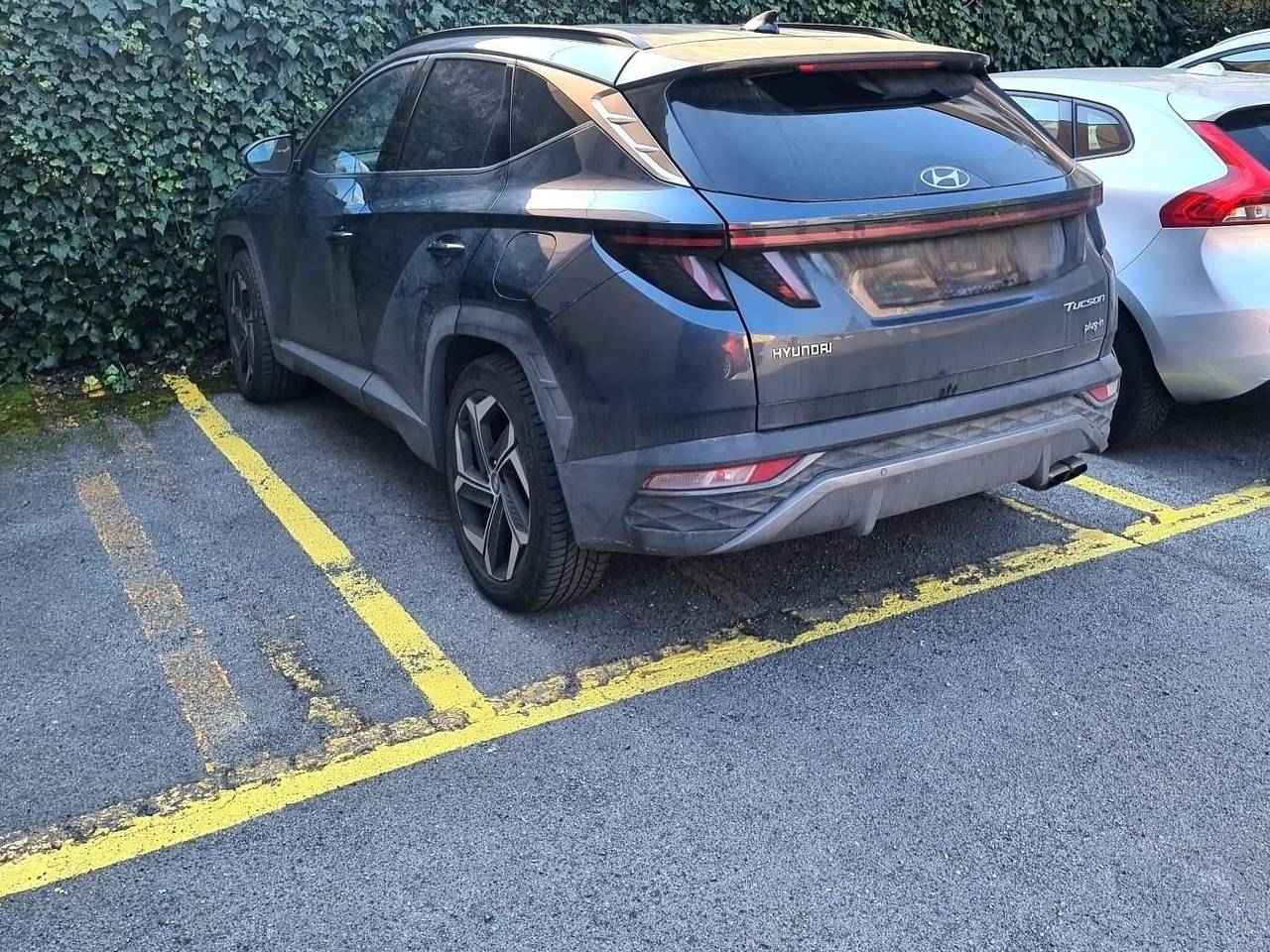 immagine annuncio 10 di 11