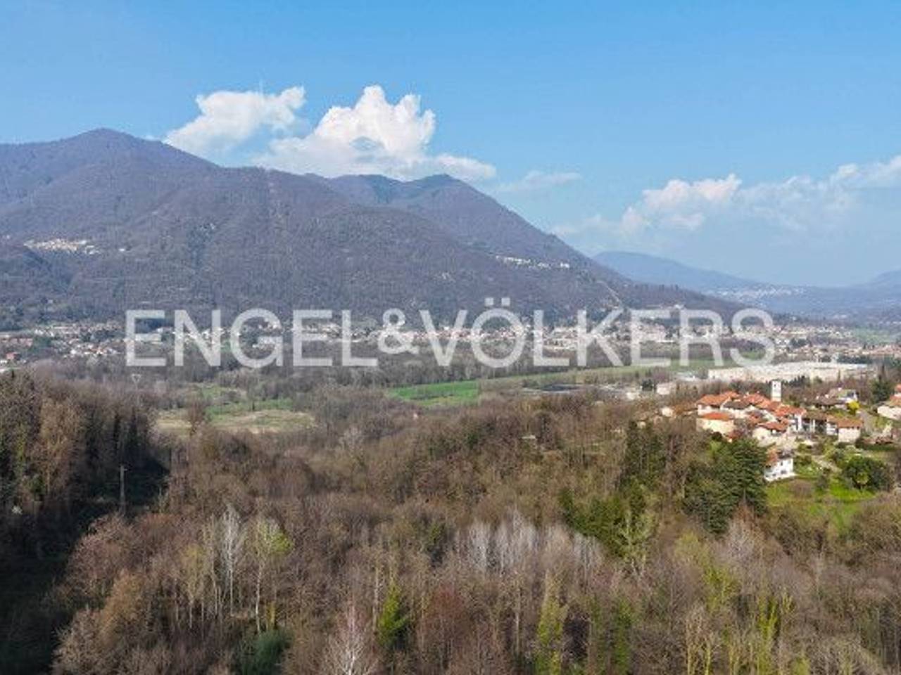 immagine annuncio 7 di 12