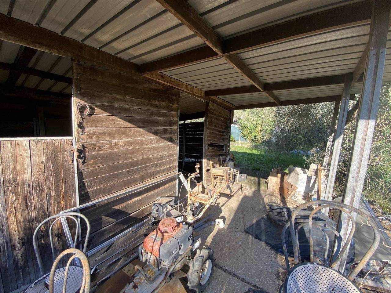 immagine annuncio 9 di 11