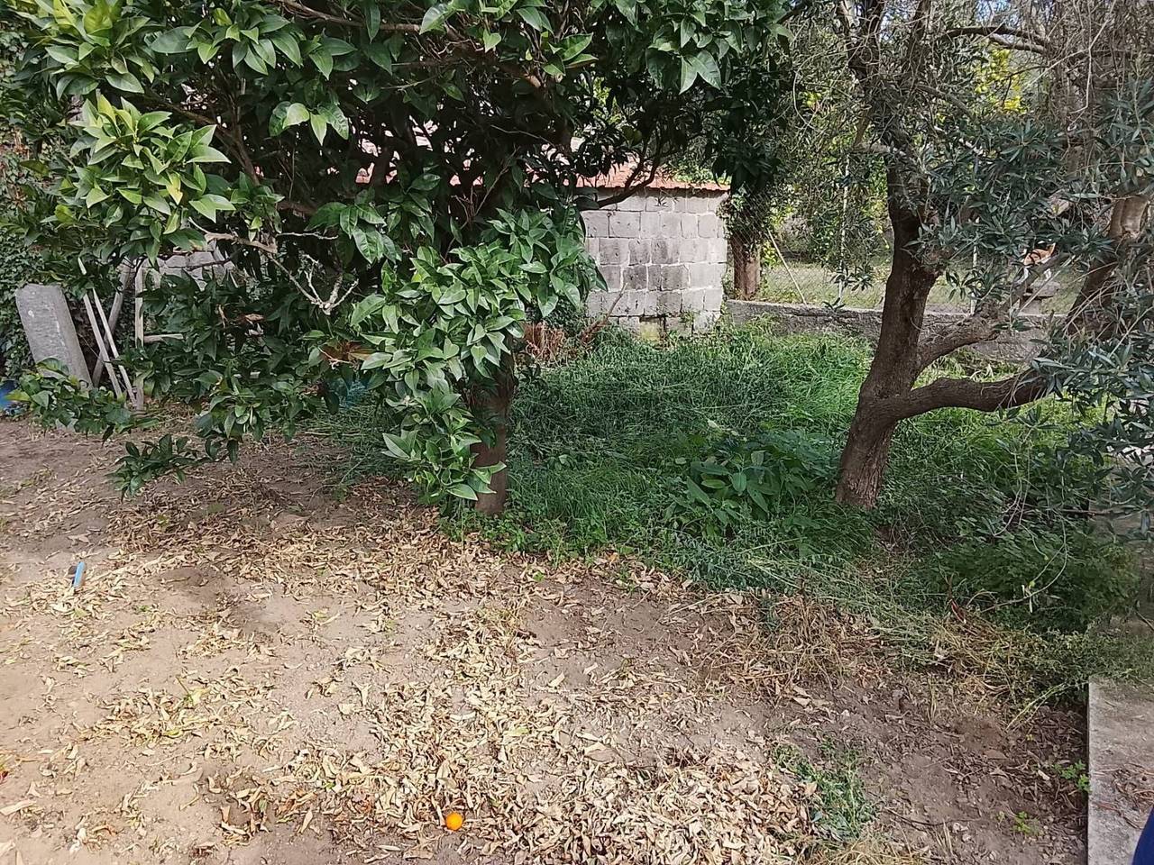 immagine annuncio 7 di 9