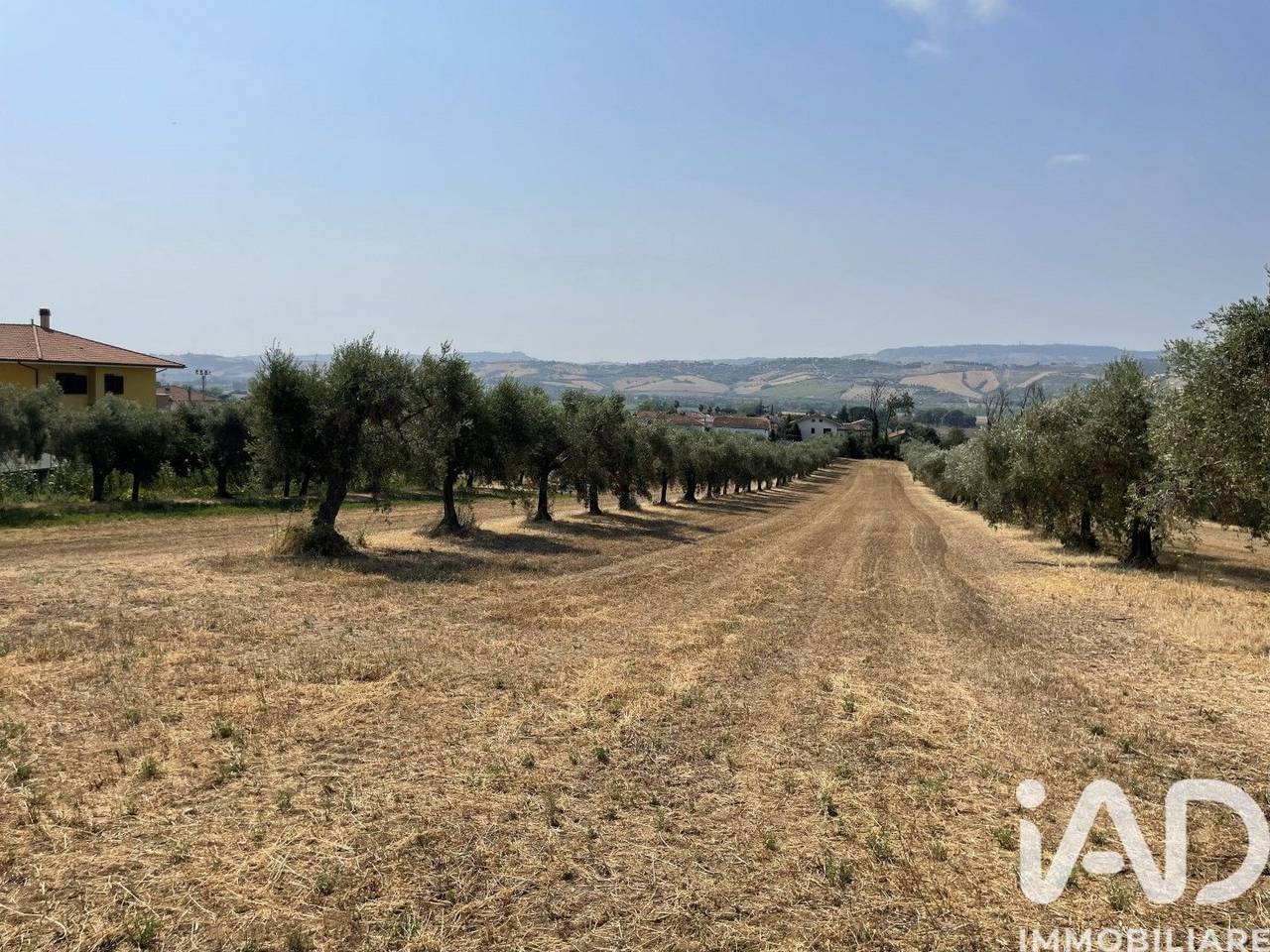 immagine annuncio 9 di 11